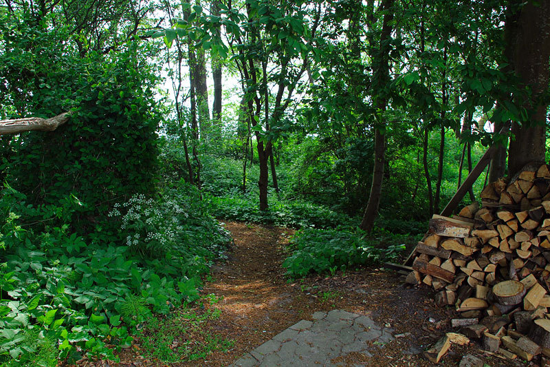 slideshow image
