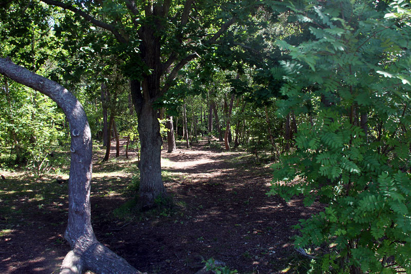 slideshow image