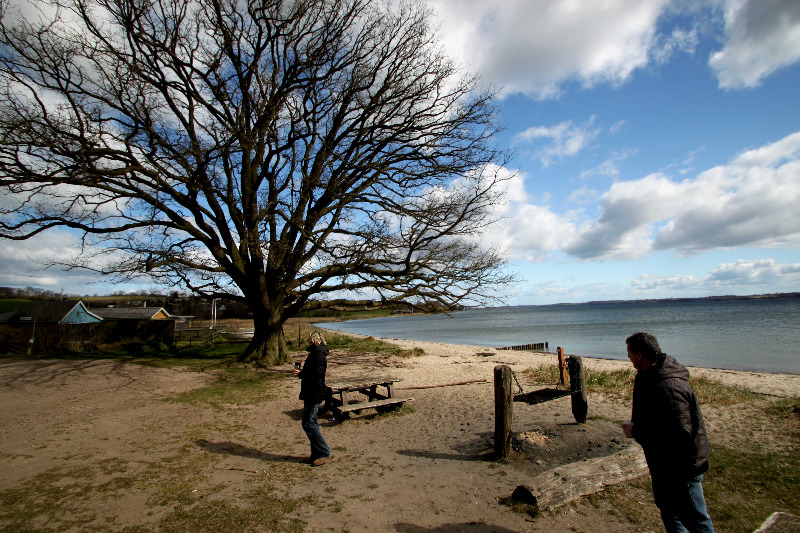 slideshow image