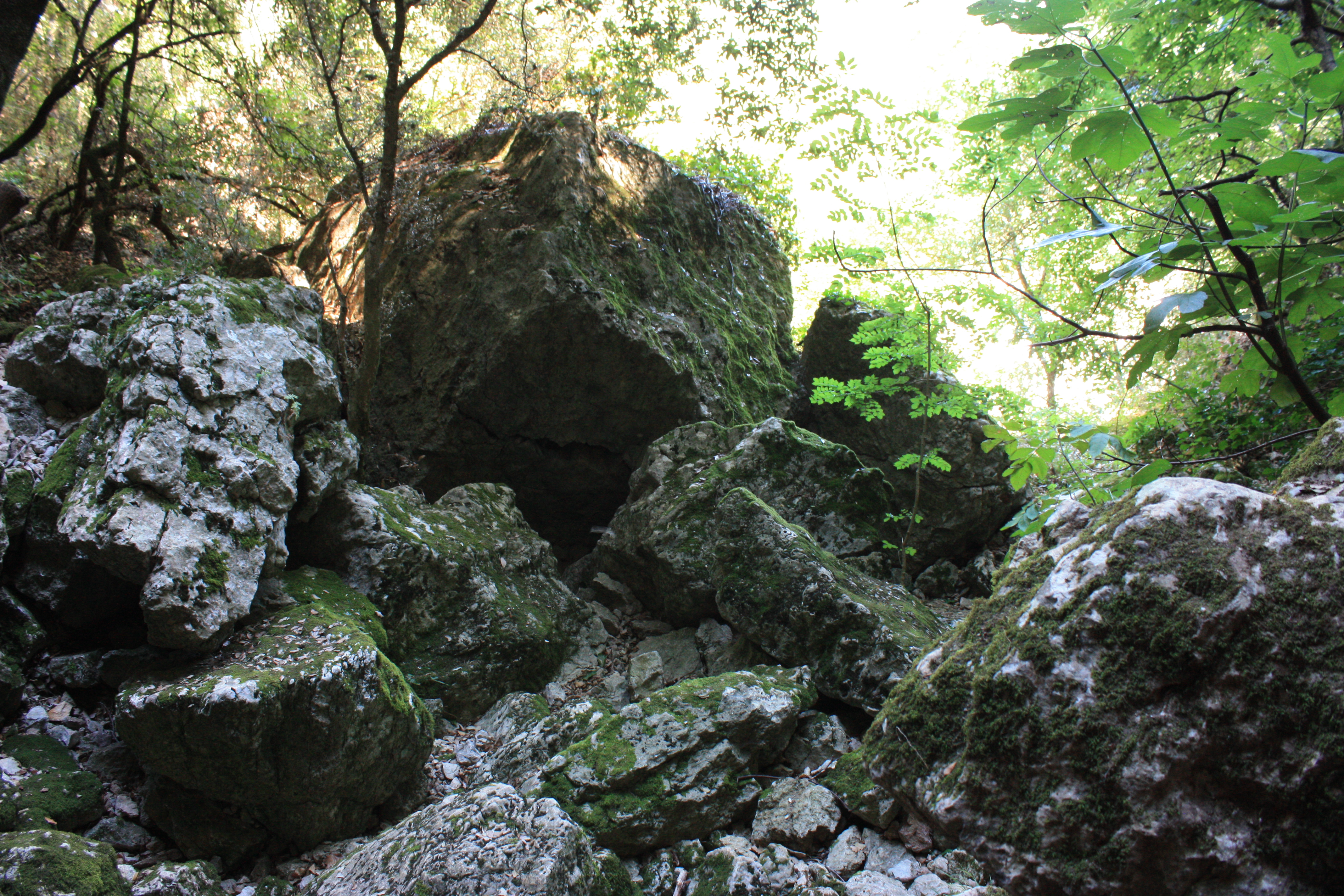 slideshow image