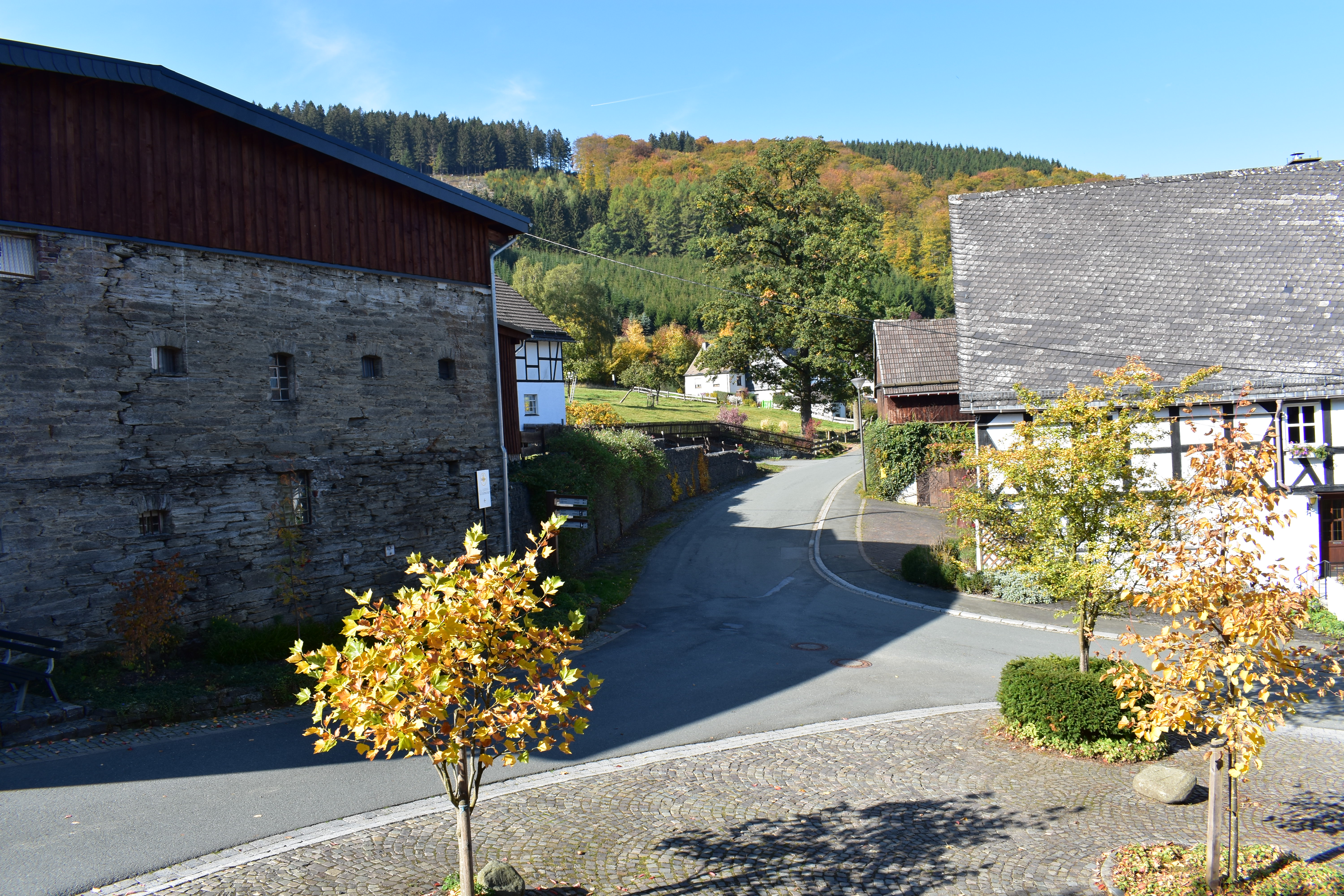 slideshow image